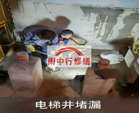丰都星雨华府电梯井堵漏案例